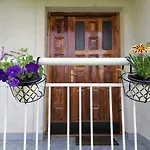 Nora Garden *
