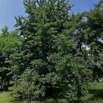 וילה Nora Garden סראייבו