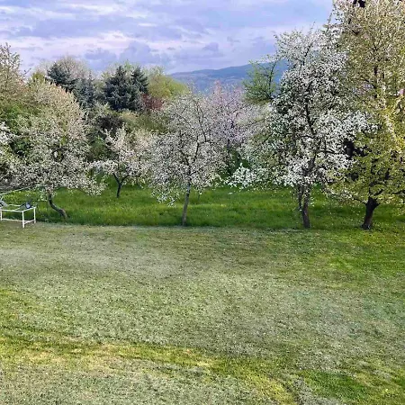 Nora Garden Villa