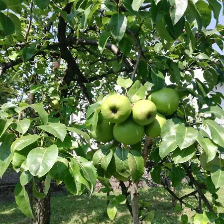 Nora Garden וילה *