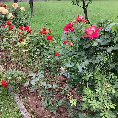 וילה Nora Garden *