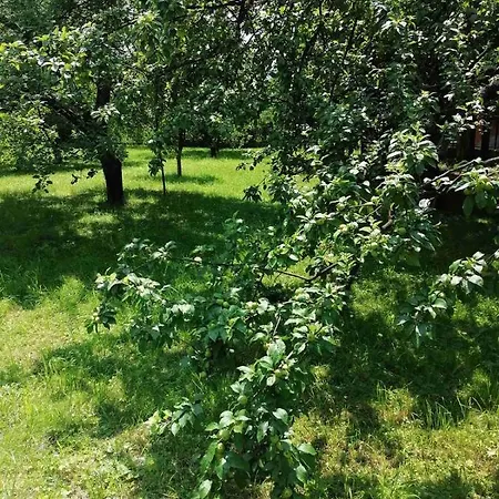Villa Nora Garden Sarajevo