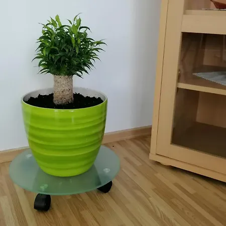 Nora Garden Villa Sarajevo